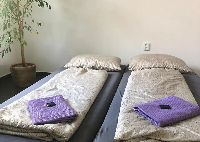 Wellness Veseli *